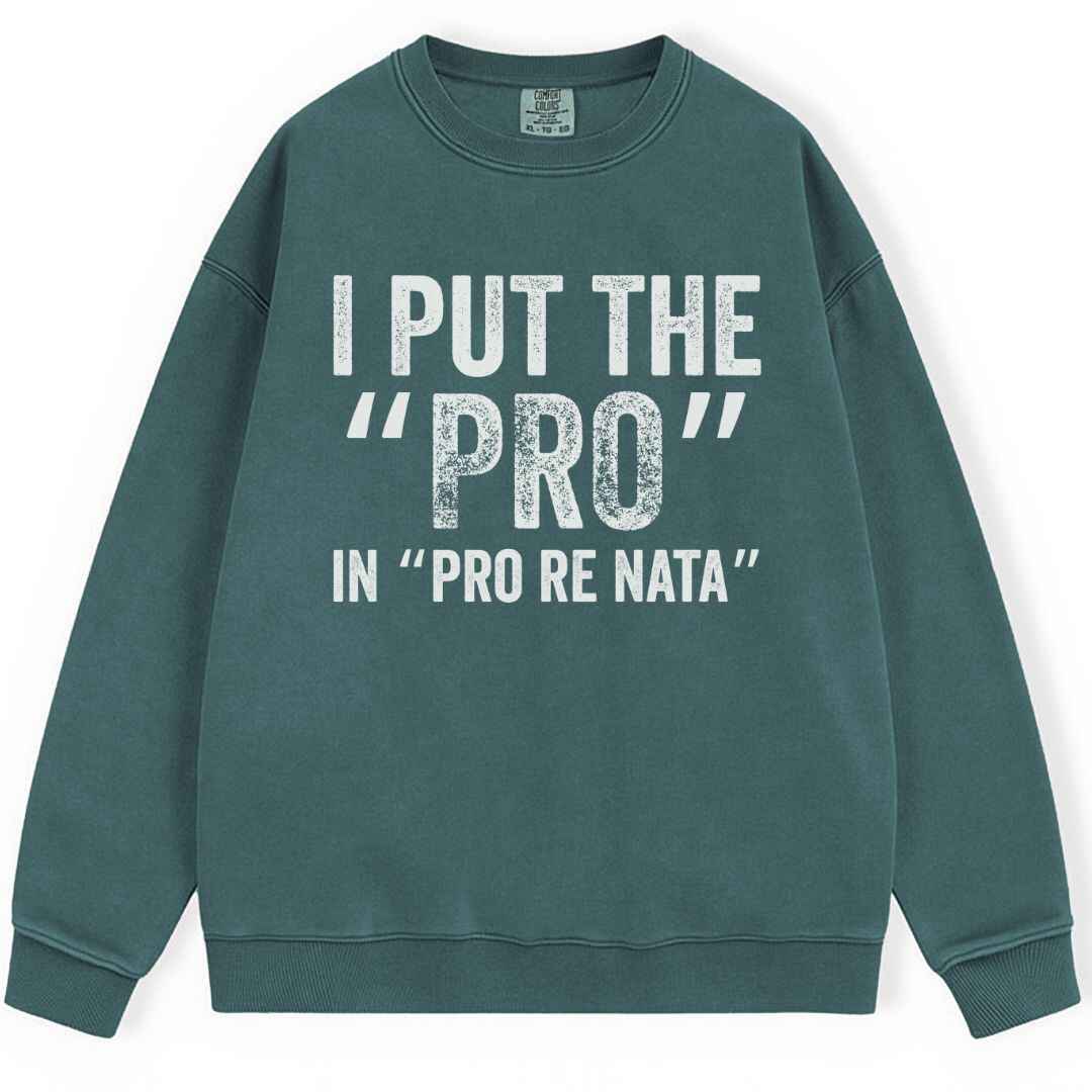 I Put The The Pro Sweatshirt