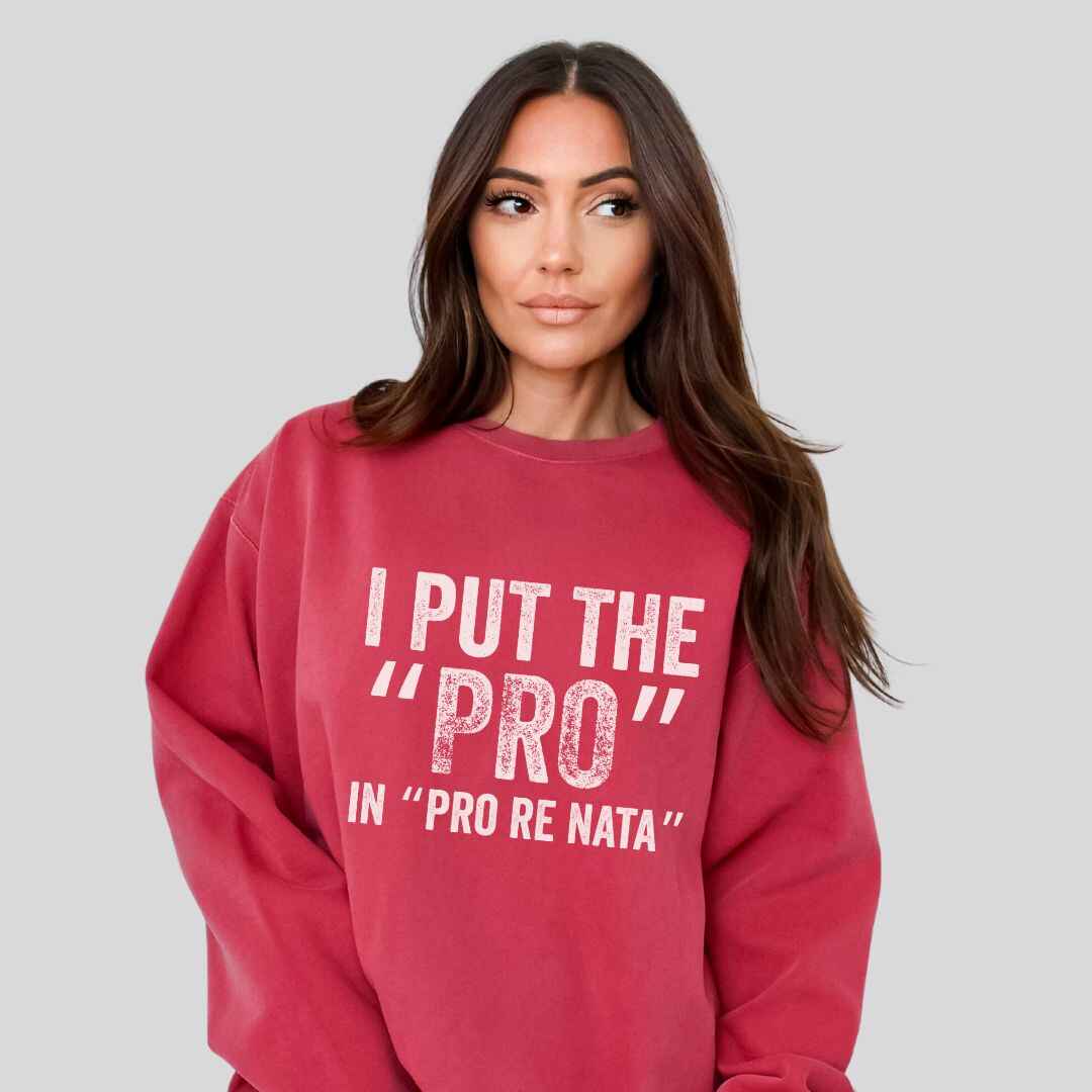 I Put The The Pro Sweatshirt