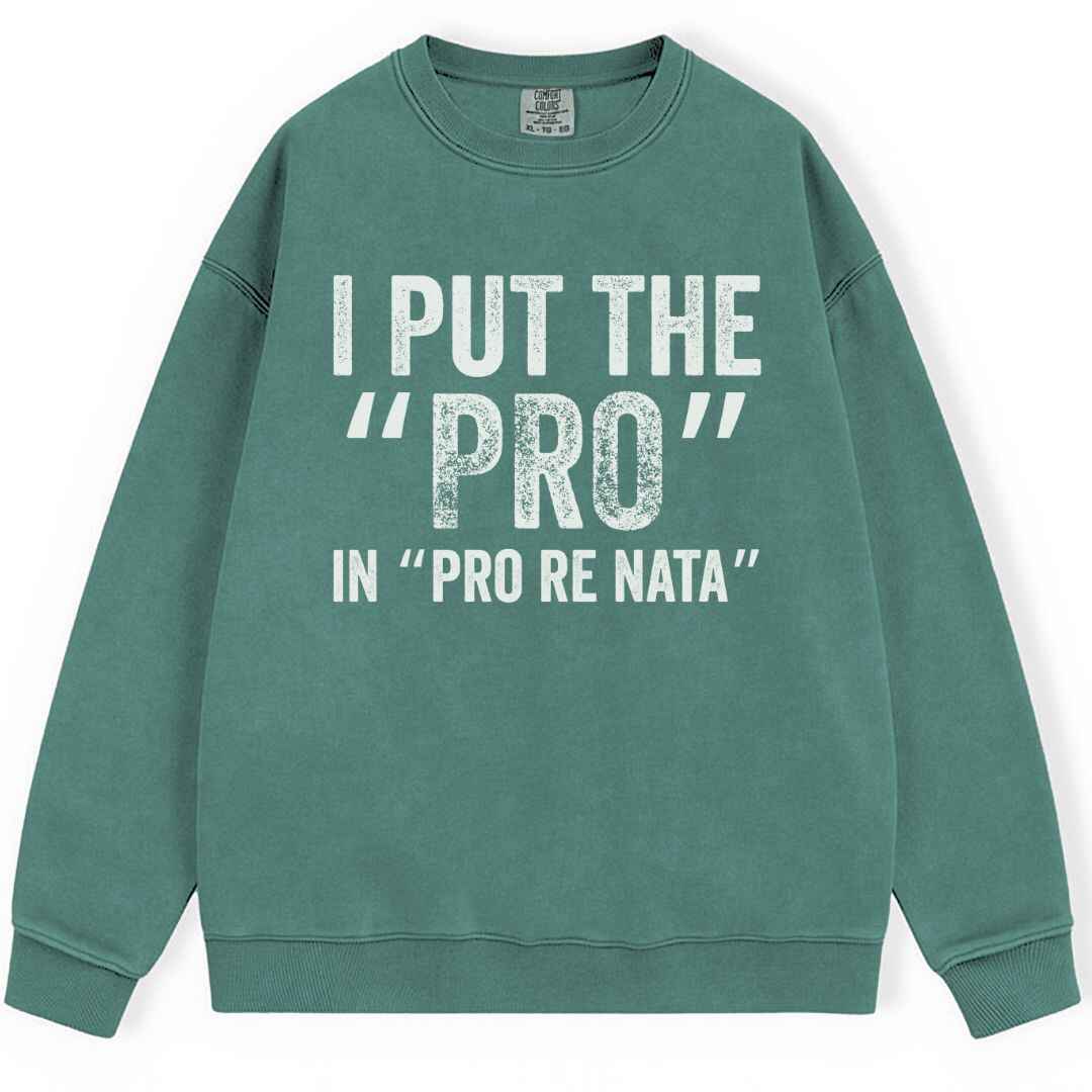 I Put The The Pro Sweatshirt
