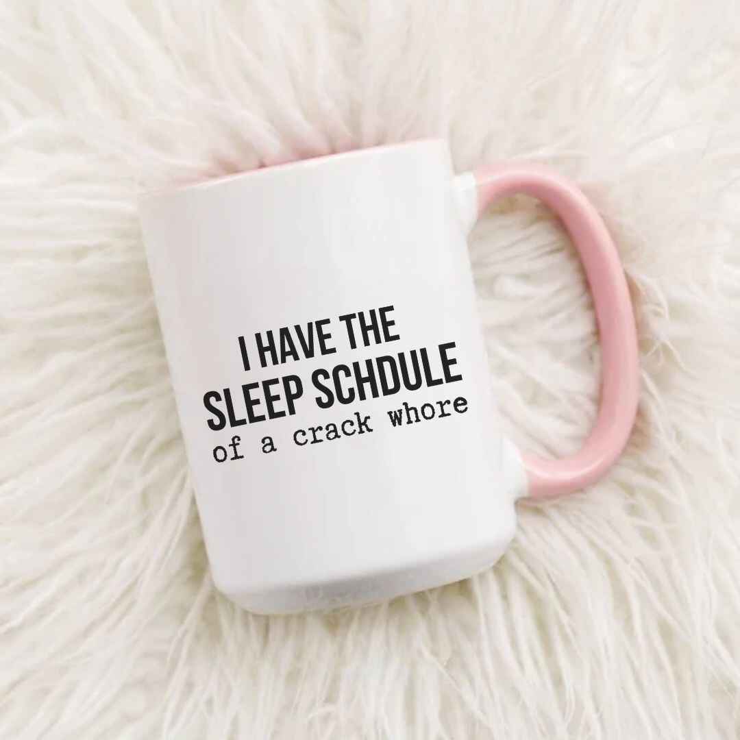 Sleep Schedule Funny Mug