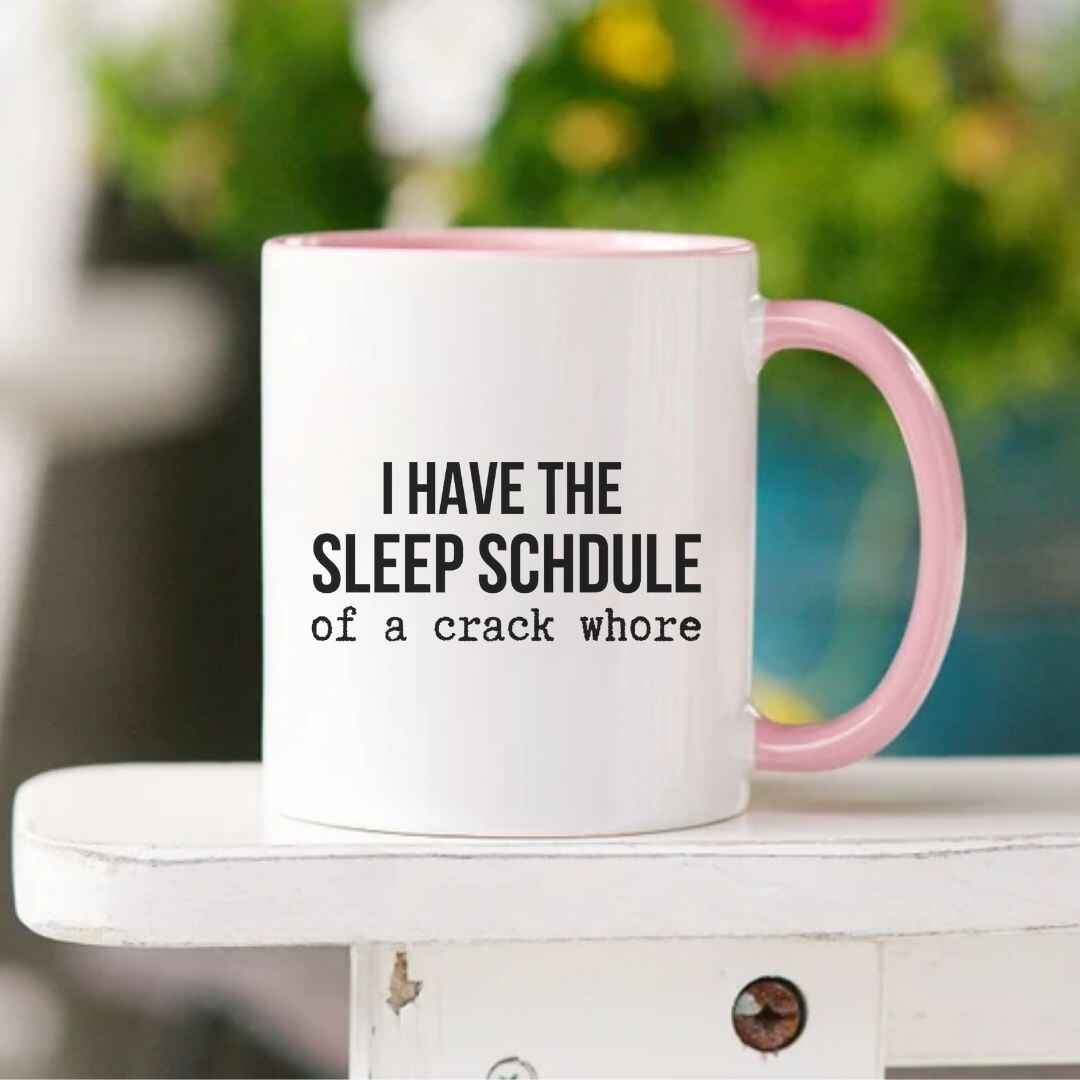 Sleep Schedule Funny Mug